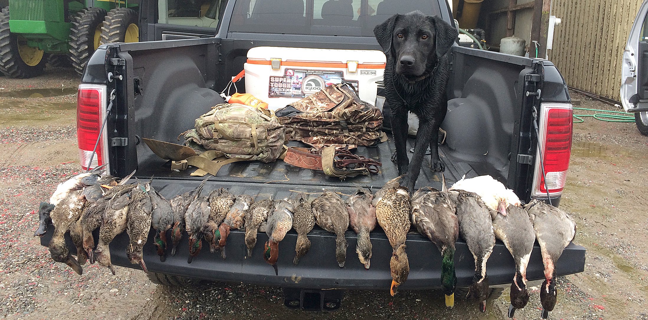 Duck Hunting guide service Sacramento Valley