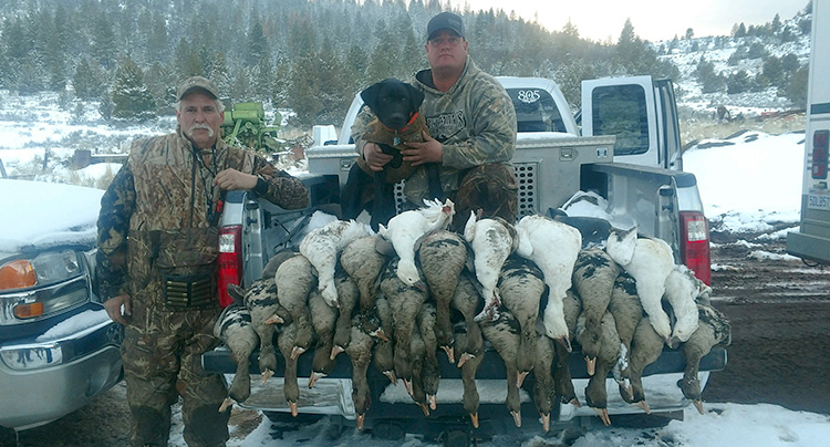 duck and goose hunts Sacramento