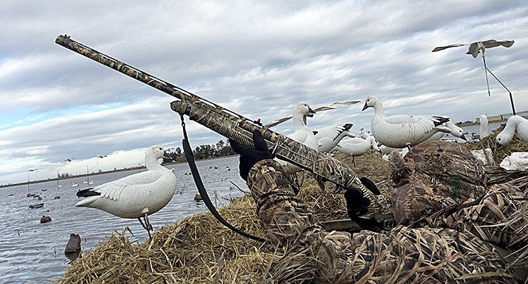 guided duck and goose hunts Sacramento