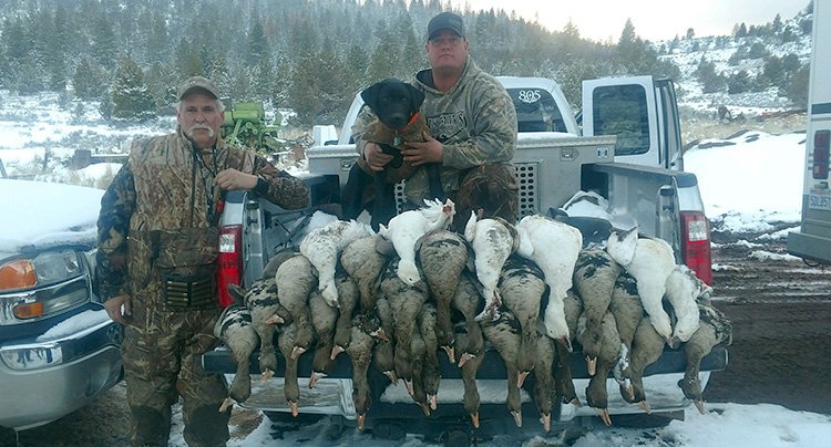 Duck Hunting Guides in Sacramento Valley